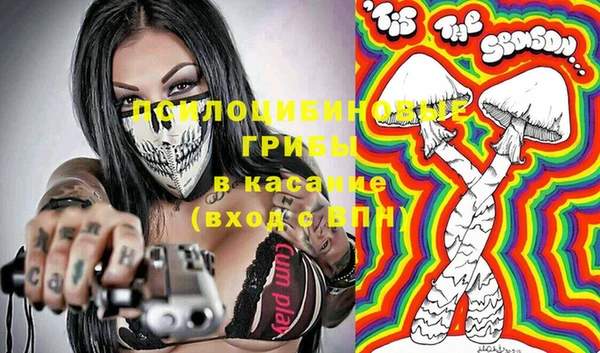 шишки Алексеевка