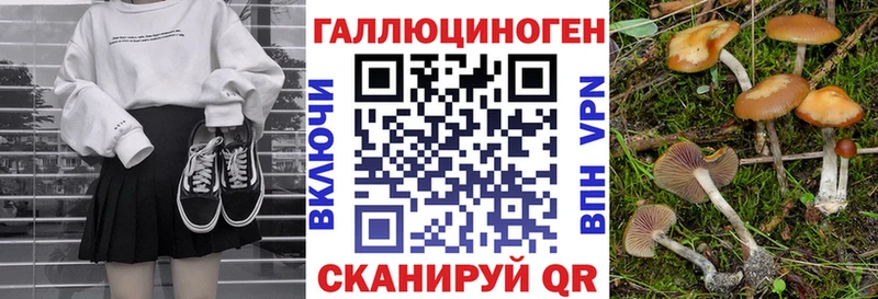 Галлюциногенные грибы Psilocybine cubensis  Сыктывкар 